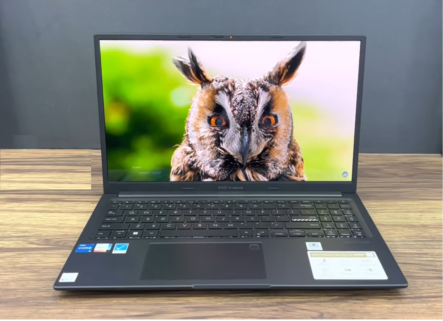 Asus vivobook 15x 2023